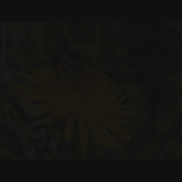 Hunaja - tulossa pian